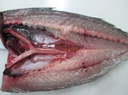 Pacific mackerel whole round Japan Origin